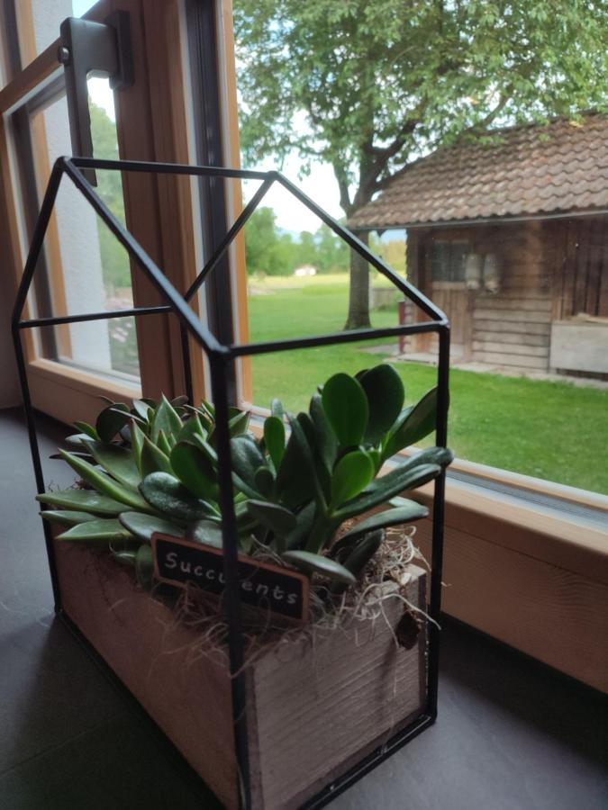 Schoberkurve Apartment Raubling Bagian luar foto